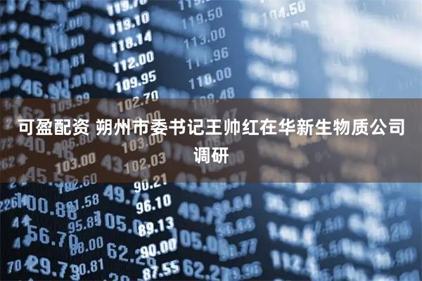 可盈配资 朔州市委书记王帅红在华新生物质公司调研