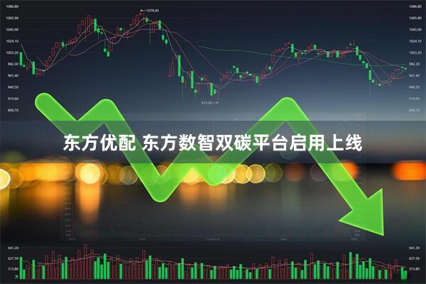 东方优配 东方数智双碳平台启用上线