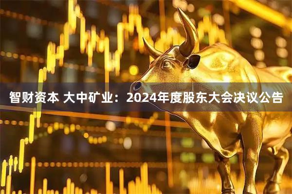 智财资本 大中矿业：2024年度股东大会决议公告