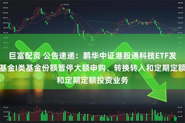 巨富配资 公告速递：鹏华中证港股通科技ETF发起式联接基金I类基金份额暂停大额申购、转换转入和定期定额投资业务