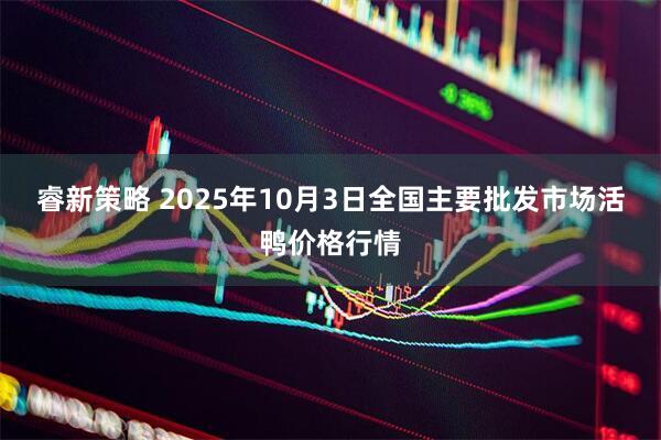 睿新策略 2025年10月3日全国主要批发市场活鸭价格行情