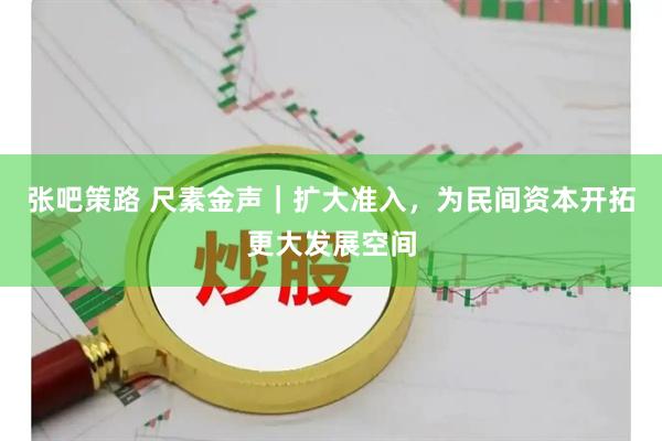 张吧策路 尺素金声｜扩大准入，为民间资本开拓更大发展空间