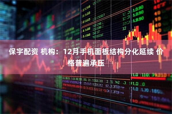 保宇配资 机构：12月手机面板结构分化延续 价格普遍承压