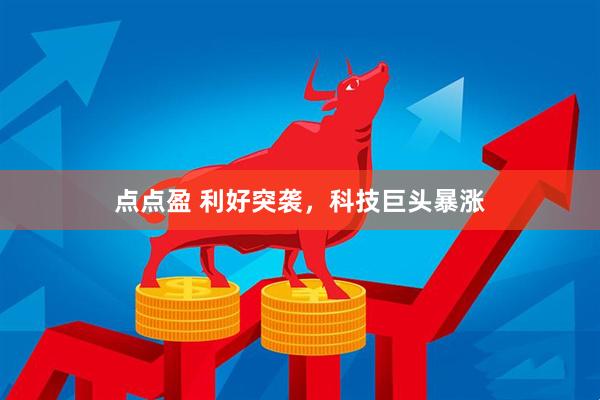 点点盈 利好突袭，科技巨头暴涨